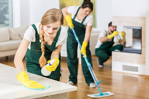 Cleaning Services